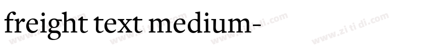 freight text medium字体转换 freight text medium字体转换